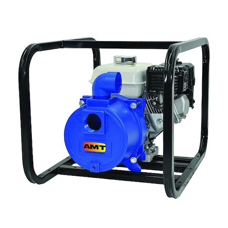 Amt Pumps Engine Driven Pump, Cast Iron, 5 hp 3932-95
