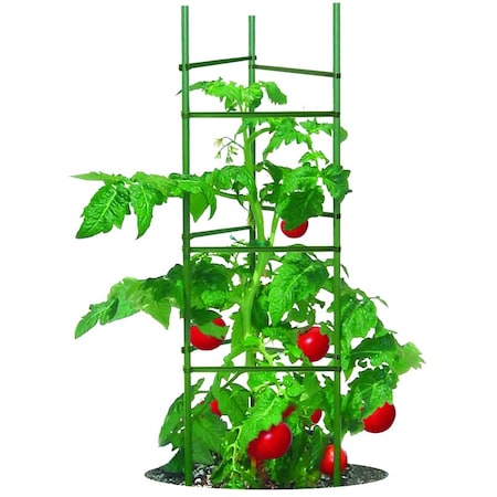 Gardener Blue Ribbon 60 in. H X 12 in. W Green Steel Tomato Cage TMC60