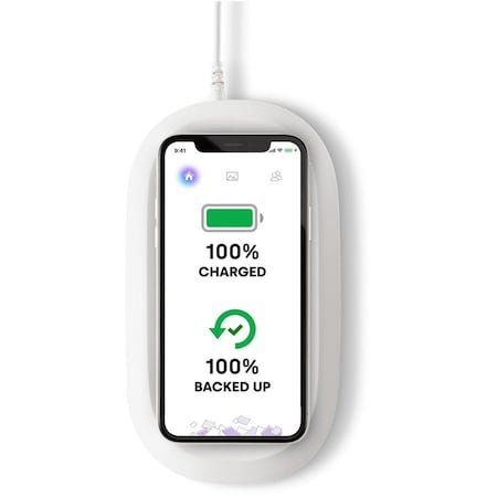 Sandisk iXpand Wireless Charger Sync - - 1 SDIZ90N-256G-AN4LE