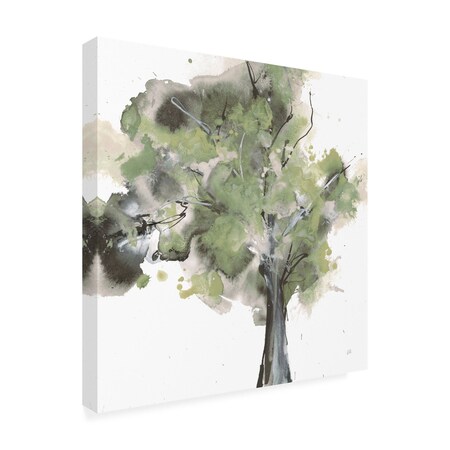 Trademark Fine Art Outdoor Canvas Art Chris Paschke 'Treetops II Sage' Wall Art for Patios, or Gardens WAP32297-OC1414WR