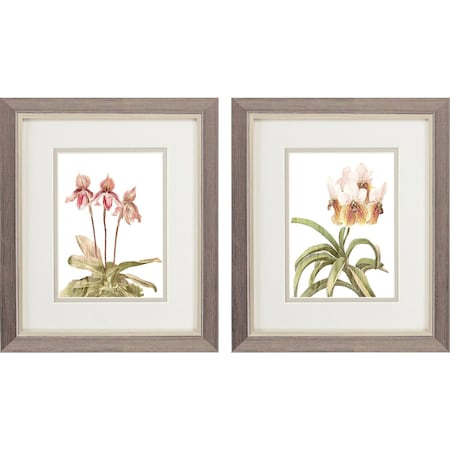 Homeroots Set Of Two Floral Beauty II Silver Framed Wall Art, 2PK 649143