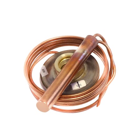 Emerson X-26300 Hw100 Power Element 057764