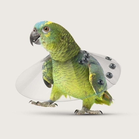 Kvp Saf-T Shield Collar, 12", Diameter, 6", - 8.25", Neck Circumfrence SS412