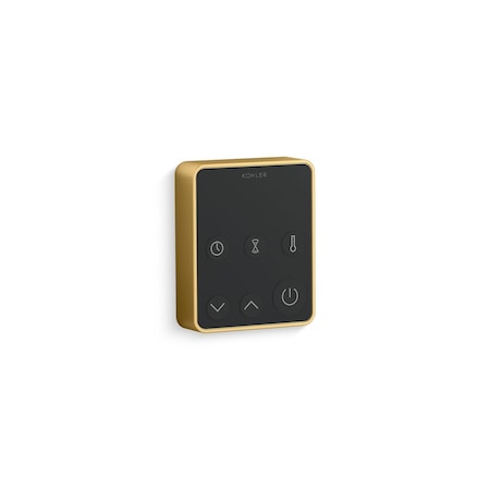Invigoration Series Steam controller Vibrant Brushed Moderne Brass