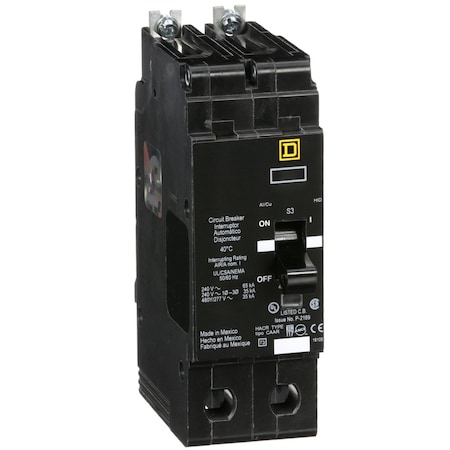 Square D Miniature Circuit Breaker, E FRAME Series, 100A, 2 Pole, 277/480V AC, 65kA at 120V AC EGB24100