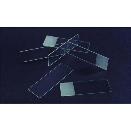 Endless Games Plain, Second Grade, Gross, 144PK EN49495