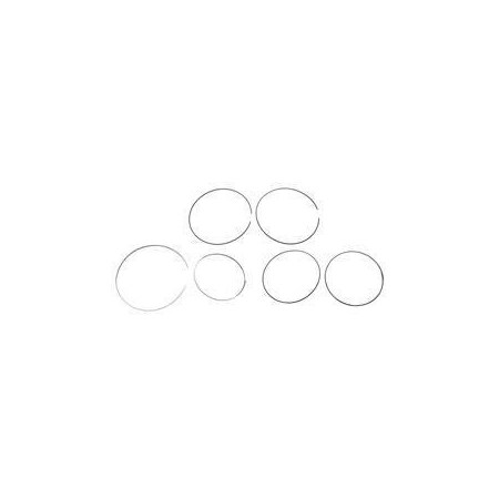 Raymond REPLACEMENT RING SET, RADIAL 1281707/002