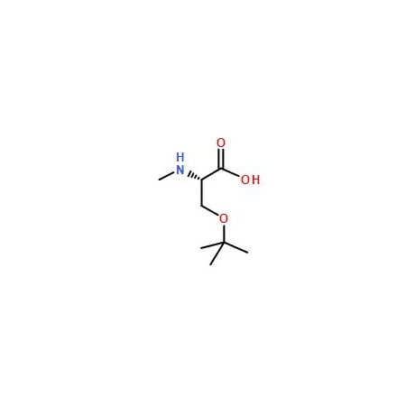 Ak Scientific N-Methyl-O-tert-butyl-L-serine (250mg), CAS 197632-83-0 Z5710-250mg