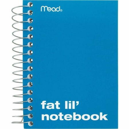 Mead Fat Lil' Notebook, Assorted MEA45390