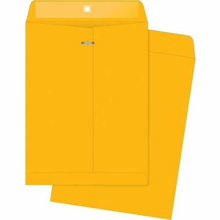 Business Source Filing Envelope, Brown, Kraft, PK100 BSN04426