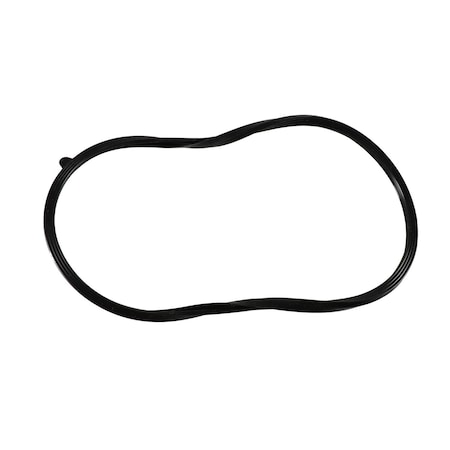 Raypak DOOR SEAL GASKET 013174F