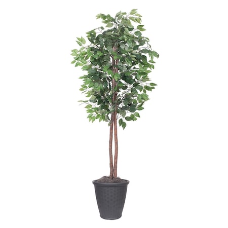 Vickerman 6 ft. Artificial Ficus Tree in Round Gray Container, Dark Green TEC0160-RG