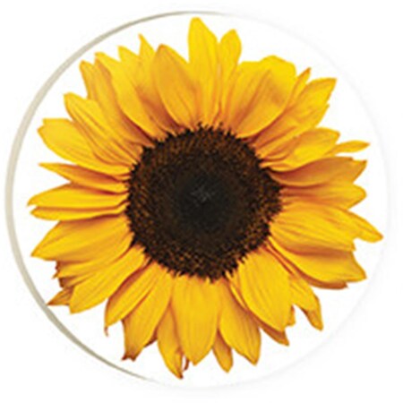 P. Graham Dunn Sunflower Car Coaster COA1040