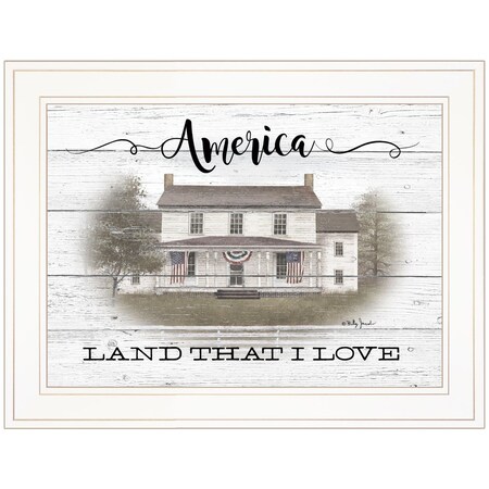 Homeroots America 1 White Framed Print Wall Art 406343