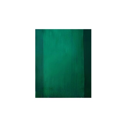Revolution 8-1/2 X 11 High Density Plastic Bag - Dark Green, 1000PK S04DG