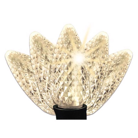 Celebrations LED C9 Warm White 25 ct String Christmas Lights 11-06023A