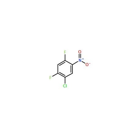 Ak Scientific 5-Chloro-2, 4-difluoronitrobenzene (5g), CAS 1481-68-1 U500-5g