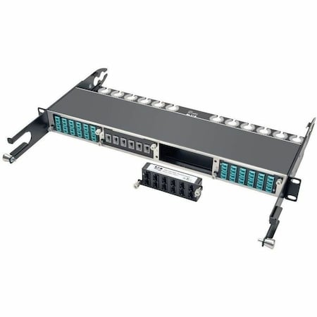 Tripp Lite 100GB/120GB PASS-THROUGH CASSETTE 12 24-FIBER MTP/MPO N484-12M24