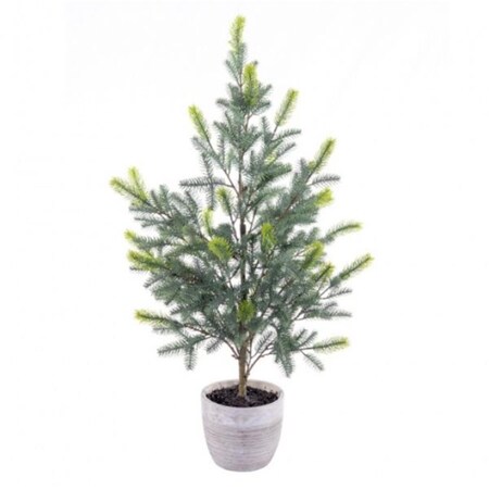 Dare2Decor 37 in. Blue Spruce Sapling Potted DA3903371