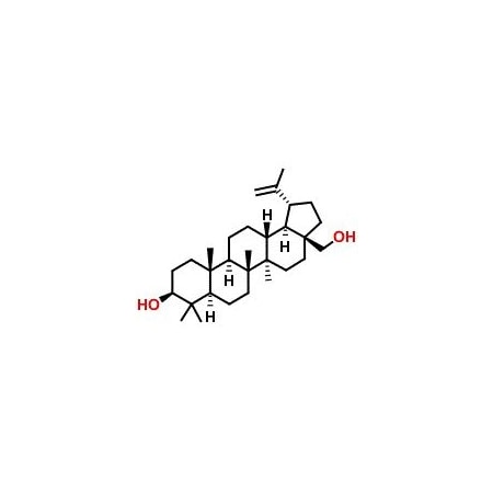 Ak Scientific Betulin (25g), CAS 473-98-3 V0184-25g
