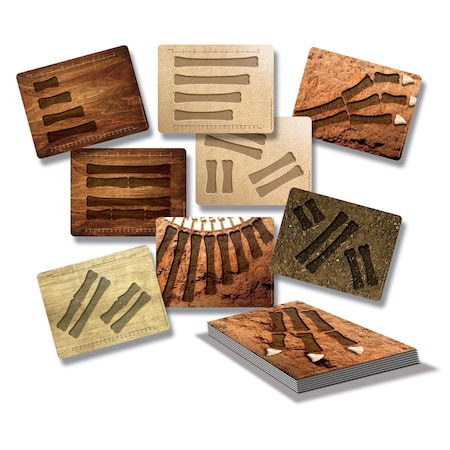 Yellow Door Dinosaur Bones Match and Measure Activity Cards YD1034