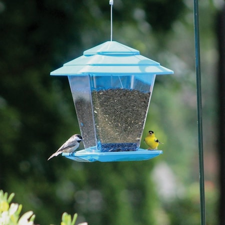 More Birds Plastic 6.6 Lb. Capacity Square Seed Hopper Bird Feeder 50120