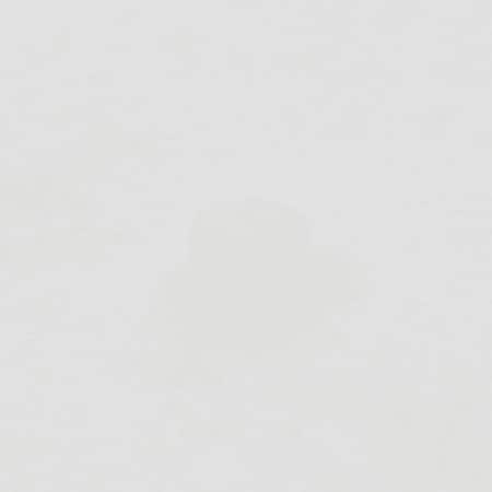 Sony PIECE, ZMR 5-006-532-21
