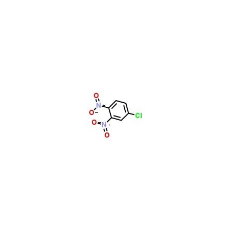 Ak Scientific 3, 4-Dinitrochlorobenzene (1g), CAS 610-40-2 H297-1g