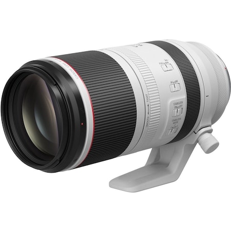 Canon RF100-500MM F4.5-7.1 L IS USM LENS 4112C002