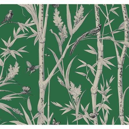 York Wallcoverings Bambou Toile Green Wallpaper RT7831