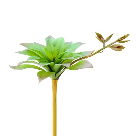 Dare2Decor 6 in. Green Agave Pick DA3265163