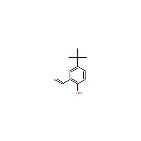 Ak Scientific 5-(tert-Butyl)-2-hydroxybenzaldehyde (10g), CAS 2725-53-3 2556AB-10g