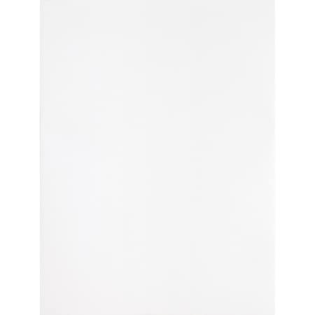 Business Source Filing Envelope, White, Wove, PK100 BSN65450
