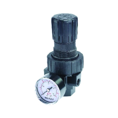 Tru-Flate Tru-Flate Plastic/Steel Compact Regulator with Gauge 3/8 in. NPTF 125 psi 1 pc TRFL27414