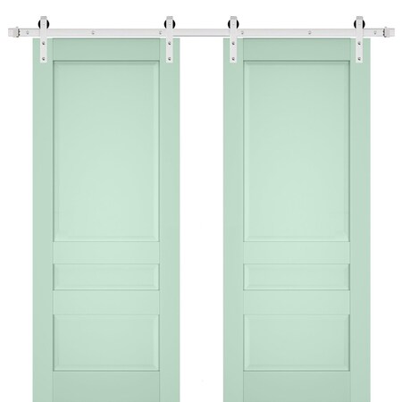Sartodoors Sturdy Double Barn Door Solid Core Modern Interior VEREGIO7411DB-S-OLI-36 x 80 (2* 18x80)-Silver Rail