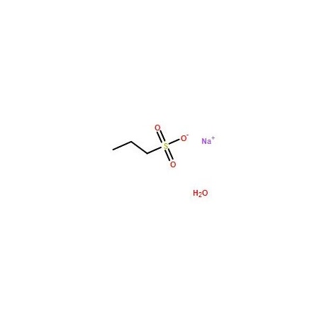 Ak Scientific Sodium propane-1-sulfonate monohydrate (5g), CAS 304672-01-3 7706AH-5g