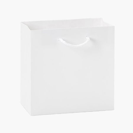 Nashville Wraps White Kraft Gift Bags, Jewel 6.5x3.5x6.5, 100PK WTJBWH