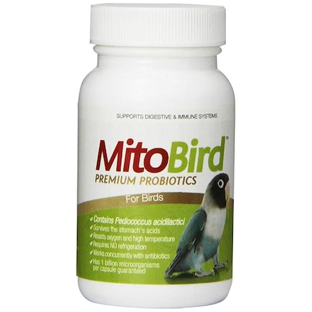 Imagilin Technology Imagilin Technology  LLC  MitoBird MDB-40