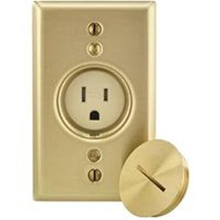 Ezgeneration 1- Gang Brass Flange Straight Blade Receptacle, Black EZ3291395