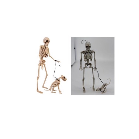 Fun World 14 in. Skeleton Walker Asst Halloween Decor 96121