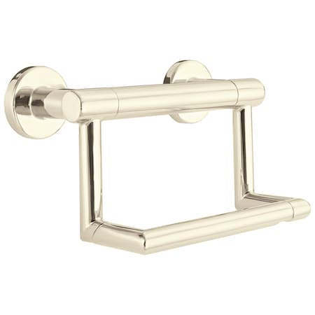 Delta Bathsafety Contemporary Tissue Holder With Assist Bar In Polished Nickel 41550-PN