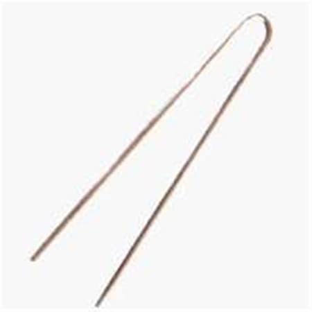 Raindrip R396CB 3.5 in. Galvanized Stake 7489388