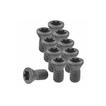 Garant Set of Insert Screws, 10 Pieces 219841