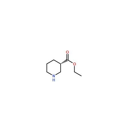 Ak Scientific Ethyl (S)-piperidine-3-carboxylate (100g), CAS 37675-18-6 R027-100g