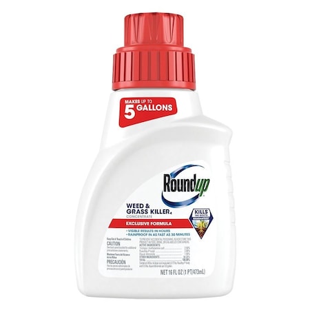 Roundup Weed and Grass Killer, Liquid, 16 oz 5376712