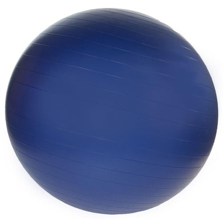 Fitnessfreak Professional Exercise Ball 85cm - Navy Blue FI80970