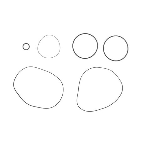 Fill-Rite Viton Seal Kit SK30VIT