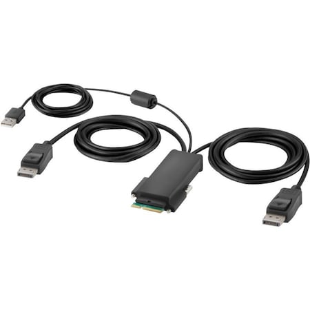 Belkin Modular DP Dual Head Host Cable 6 Feet F1DN2MOD-HC-P06