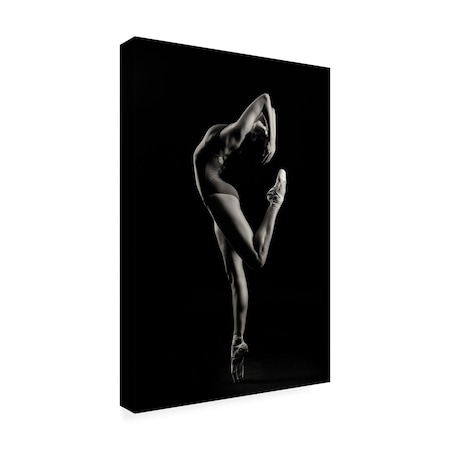 Trademark Fine Art Outdoor Canvas Art - Sergei Smirnov 'Dancer' Wall Art for Patios, or Gardens 1X16343-OC2232WR