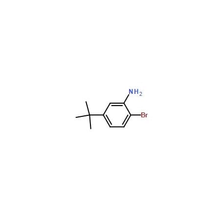 Ak Scientific 2-Bromo-5-(tert-butyl)aniline (25g), CAS 58164-14-0 8608AB-25g